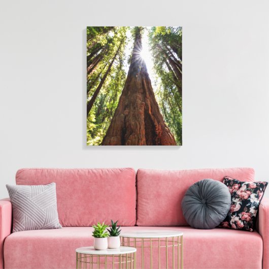 Towering Redwoods Canvas Afdruk (Insitu (Woonkamer))