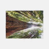 Towering Redwoods Fleece Deken (Voorkant (Horizontaal))