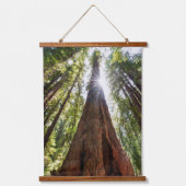 Towering Redwoods Hangend Wandkleed (Voorkant)