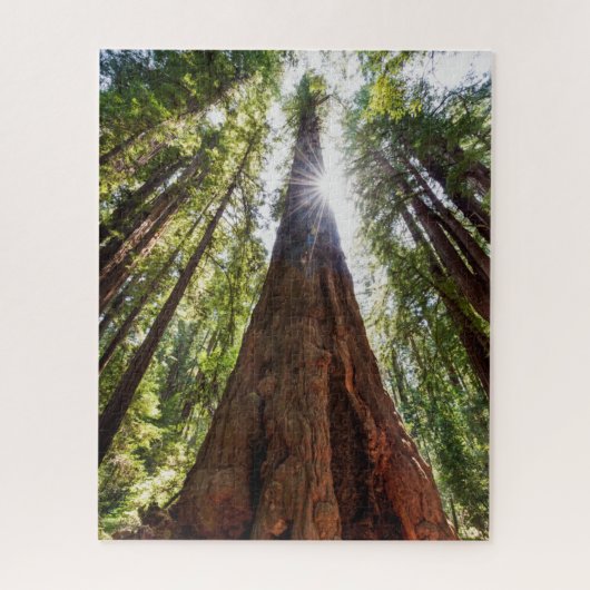 Towering Redwoods Legpuzzel (Verticaal)