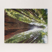 Towering Redwoods Legpuzzel (Horizontaal)