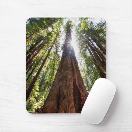 Towering Redwoods Muismat (Met muis)