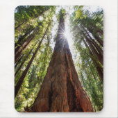 Towering Redwoods Muismat (Voorkant)