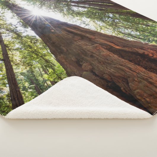 Towering Redwoods Sherpa Deken (3/4)