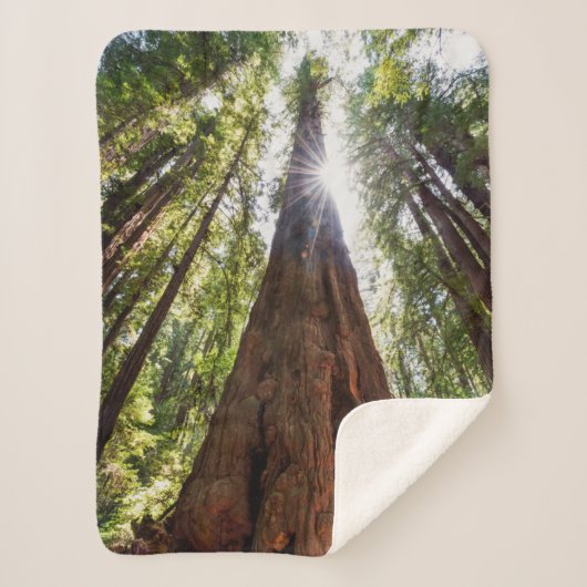 Towering Redwoods Sherpa Deken (Voorkant)
