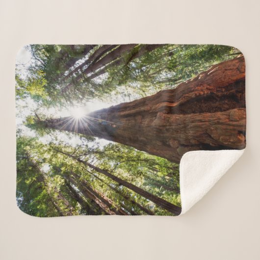 Towering Redwoods Sherpa Deken (Voorkant (horizontaal))