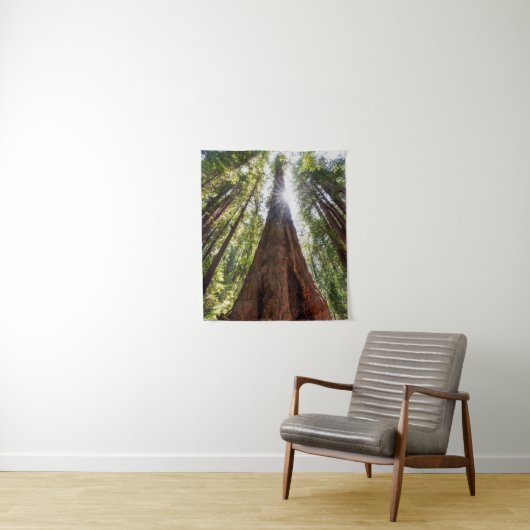 Towering Redwoods Wandkleed (In situ)