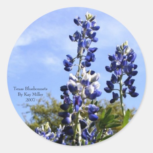 Towering Texas Blue Bonnets Ronde Sticker (Voorkant)