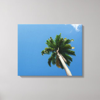 Towering Tropical Palm Tree Against a Bright Sky Canvas Afdruk