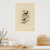 Towhe Bunting Poster (Keuken)