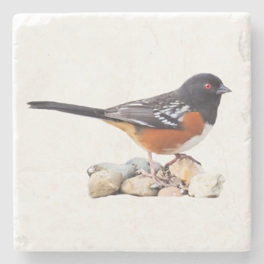 TOWHEE STENEN ONDERZETTER (Voorkant)