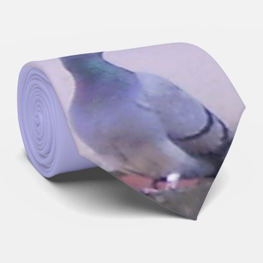 Town Pigeon Stropdas (Opgerold)