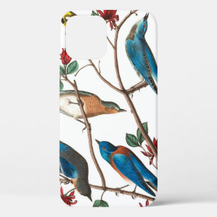 Townsend Warbler door John James Audubon Case-Mate iPhone Case