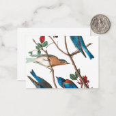 Townsend Warbler door John James Audubon Notitiekaartje (Voorkant / Achterkant in situ)