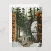 Township Map, Florida Briefkaart (Voorkant / Achterkant)