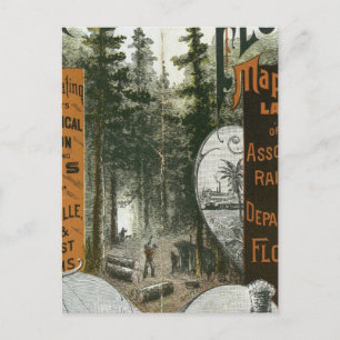 Township Map, Florida Briefkaart