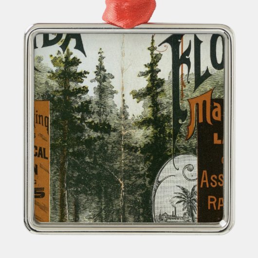 Township Map, Florida Metalen Ornament (Voorkant)