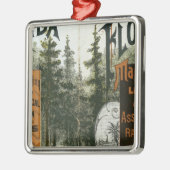 Township Map, Florida Metalen Ornament (Links)