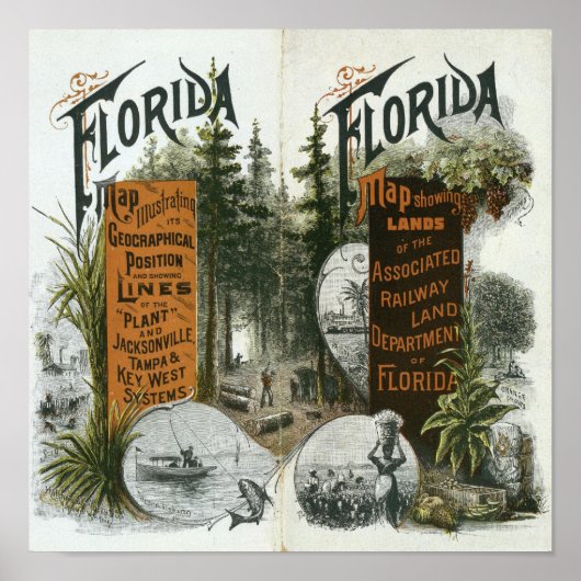 Township Map, Florida Poster (Voorkant)