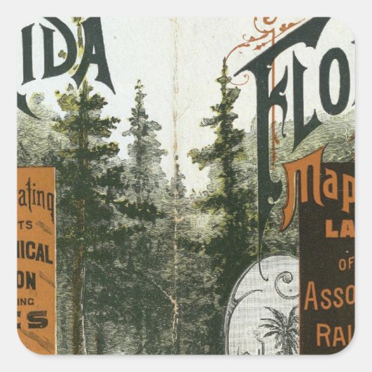 Township Map, Florida Vierkante Sticker (Voorkant)