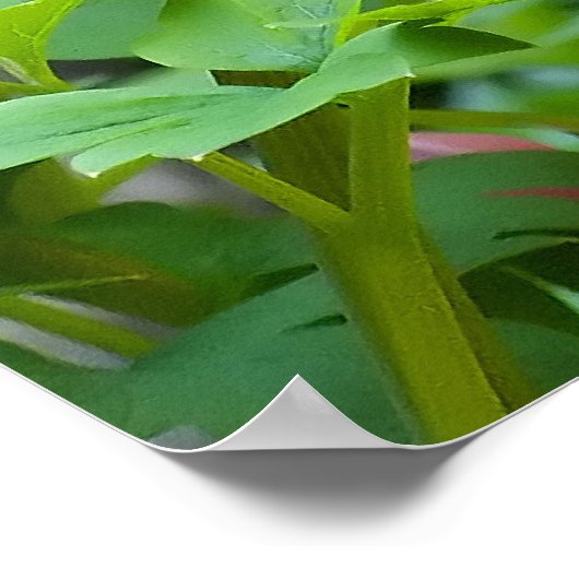 Toxische harten poster (Hoek)