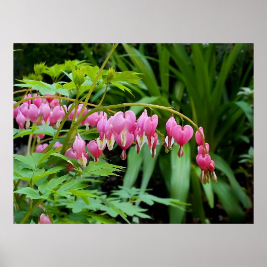 Toxische harten poster (Voorkant)