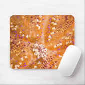 Toxische stoom (Asthenosoma varium) Muismat (Met muis)