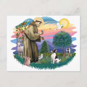 Toy Fox Terrier Briefkaart