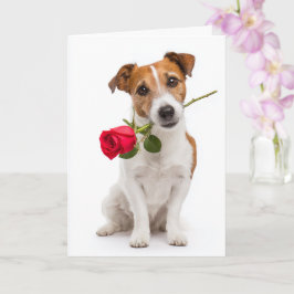 Toy Fox Terrier Valentijnskaart Kaart