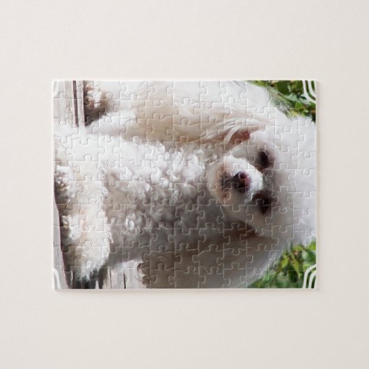 Toy Poodle Legpuzzel (Horizontaal)