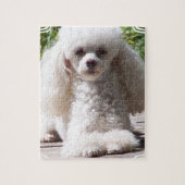 Toy Poodle Legpuzzel (Verticaal)