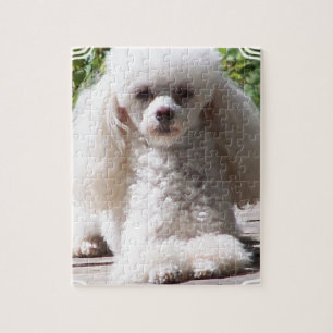 Toy Poodle Legpuzzel
