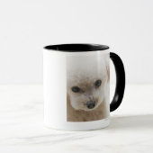 toy poodle mok (Voorkant rechts)