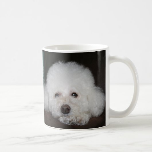 Toy Poodle Mok (Rechts)