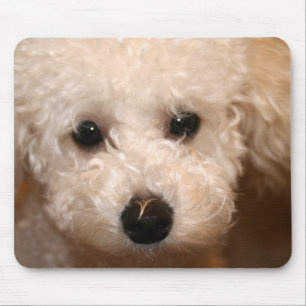 Toy Poodle Puppy Muismat
