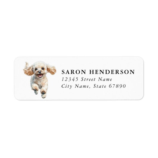 Toy Poodle Retouradreslabels Etiket (Voorkant)