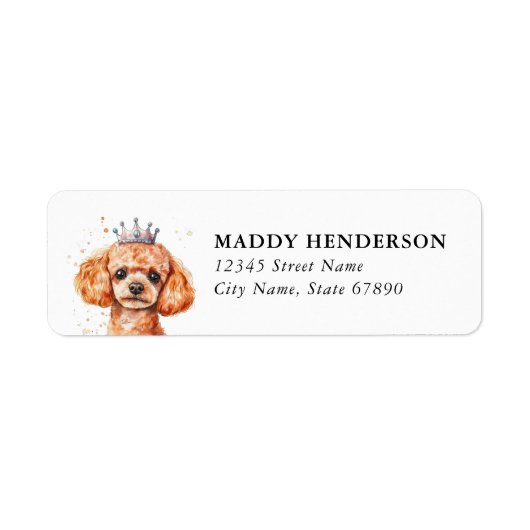 Toy Poodle Retouradreslabels  Etiket (Voorkant)