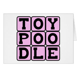 Toy Poodle, Toy Hond Ras