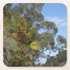 Toyons langs de Arroyo Seco Trail Kartonnen Onderzetters