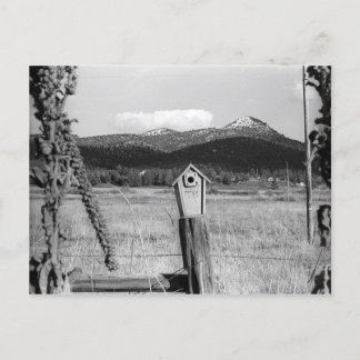 TR Bluebird House Briefkaart