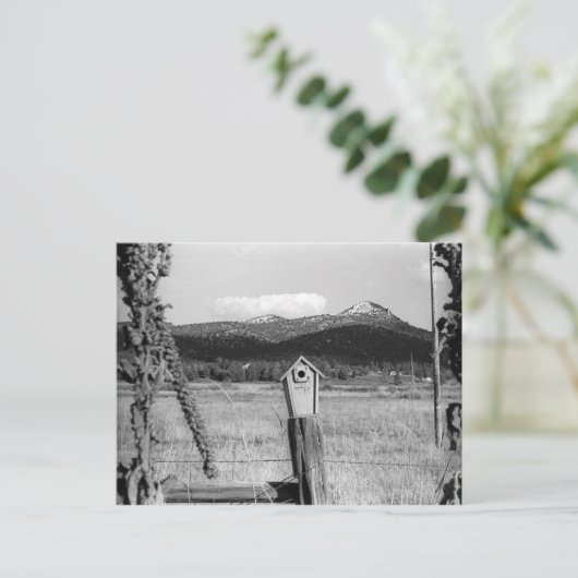 TR Bluebird House Briefkaart (Staand voorkant)