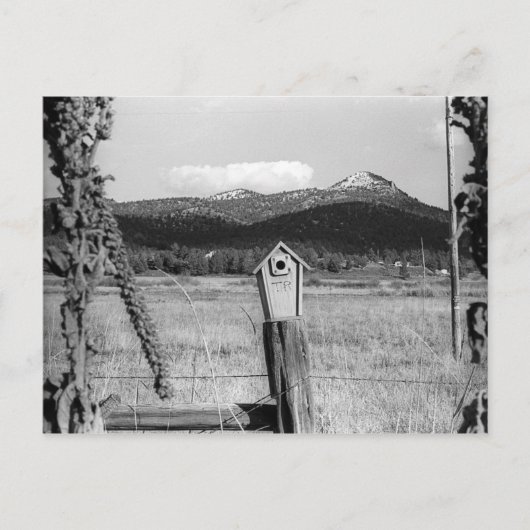 TR Bluebird House Briefkaart (Voorkant)