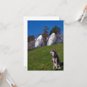 Tracker-hond Kaart (Voorkant / Achterkant in situ)