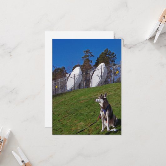 Tracker-hond Kaart (Voorkant / Achterkant in situ)