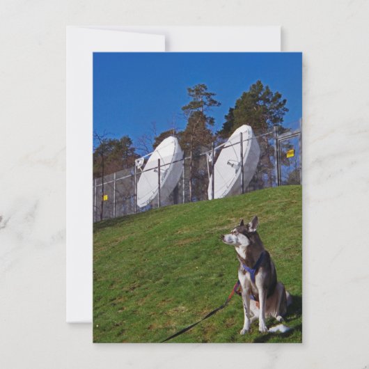 Tracker-hond Kaart (Voorkant)