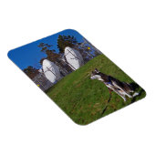 Tracker-hond Magneet (Rechterzijde)