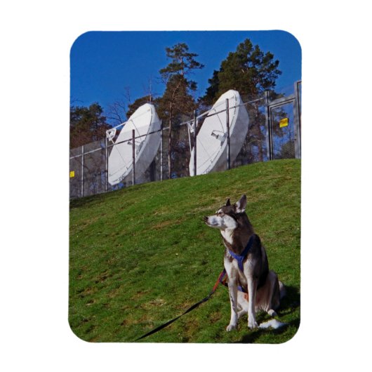 Tracker-hond Magneet (Verticaal)