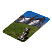 Tracker-hond Magneet (Linkerzijde)