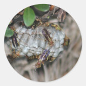 Tracker Jackers #2 Ronde Sticker (Voorkant)