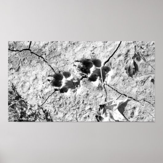 Tracks Poster (Voorkant)